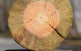 Prewencyjna ochrona drewna będącego w kontakcie z podłożem