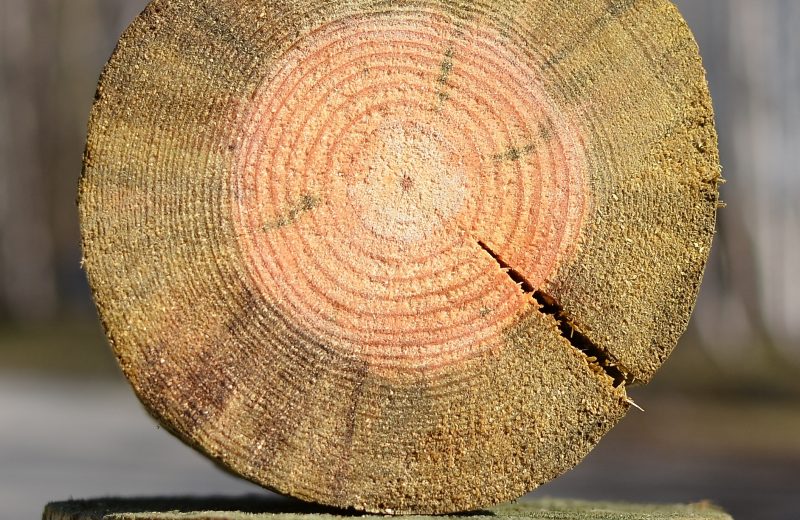 Prewencyjna ochrona drewna będącego w kontakcie z podłożem