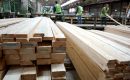 Kolejne ograniczenia w eksporcie drewna z Rosji