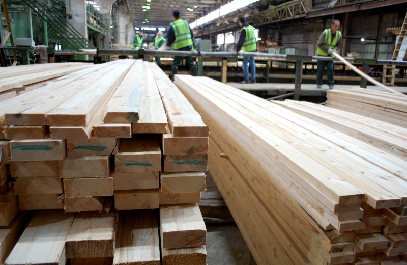 Kolejne ograniczenia w eksporcie drewna z Rosji