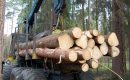 Sektor usług leśnych apeluje do premiera