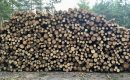 10 kroków FSC w celu ograniczenia nielegalnego pozyskiwania drewna na Ukrainie