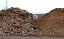 Bariery administracyjne hamują rozwój rynku recyklingu drewna w Polsce