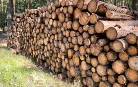 Wydzielenie puli tańszego drewna do produkcji pelletu niesie ryzyko rozchwiania rynku