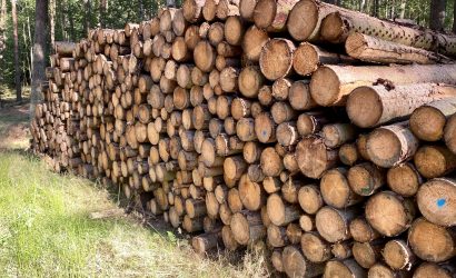 Wydzielenie puli tańszego drewna do produkcji pelletu niesie ryzyko rozchwiania rynku