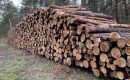 List otwarty przemysłu drzewnego do premiera Mateusza Morawieckiego