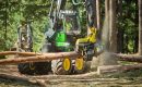 Szeroka oferta dla leśnictwa i przemysłu drzewnego