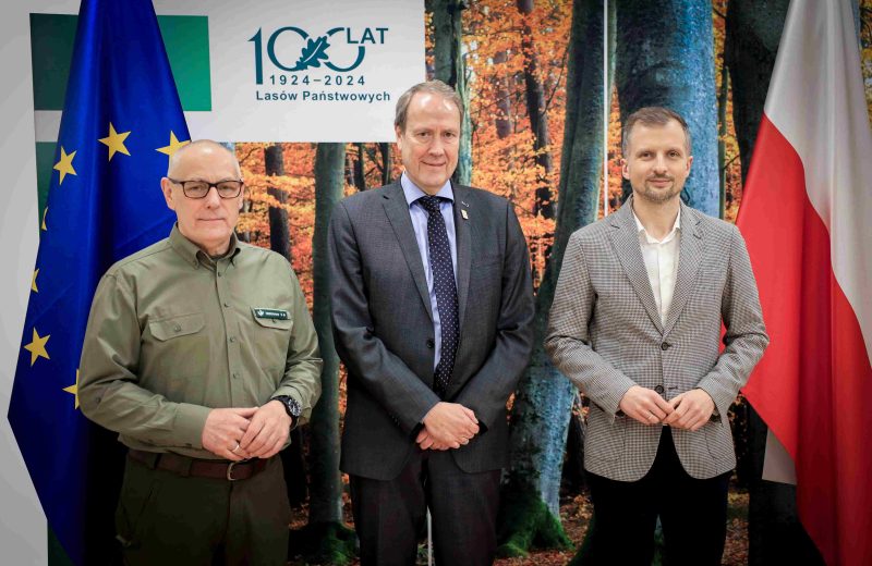 Nowe otwarcie w relacjach Lasów Państwowych i FSC