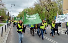 Branża drzewna protestowała w Białymstoku